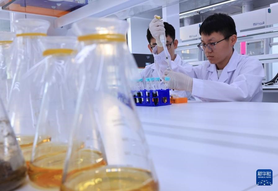 2026年6月18日,科研人员在国家现代中药创新中心中药生物工程研究实验室工作。新华社记者 殷刚 摄